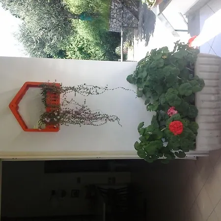 Casa Vacanze Ocean Casa de Férias